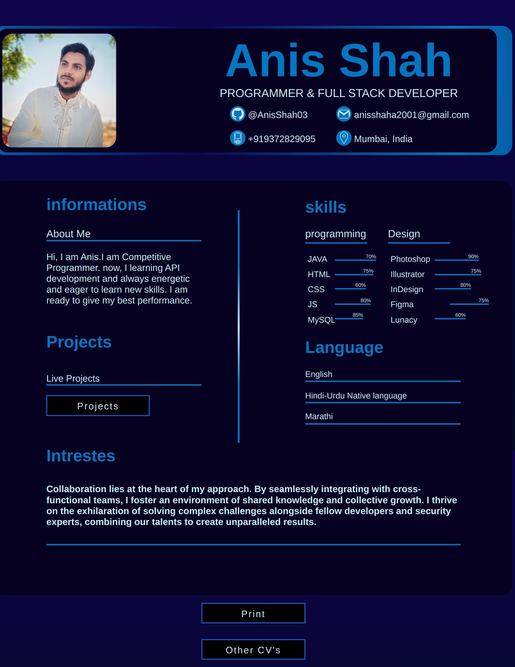 Single-page developer portfolio preview